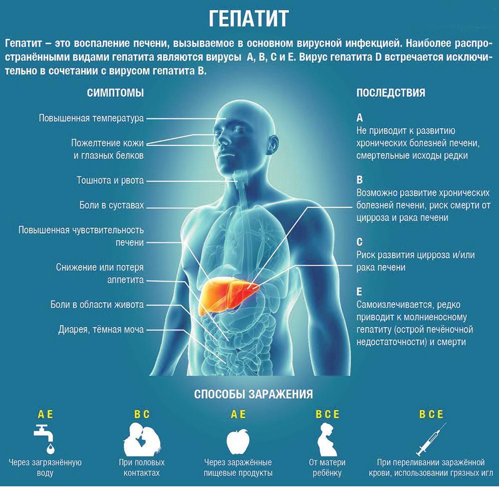 Профилактика гепатита