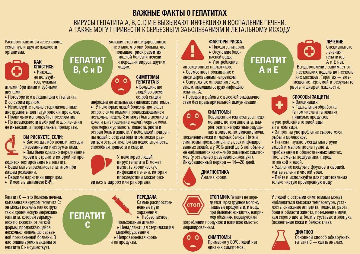 Профилактика гепатита